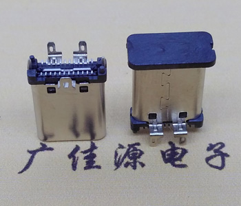 立貼USB 3.1 Type C公頭/插頭,殼三支腳插板